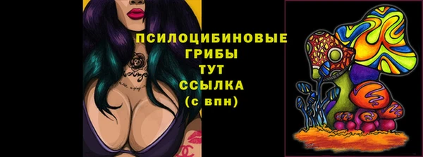 кристаллы Ельня