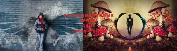 трава Елабуга