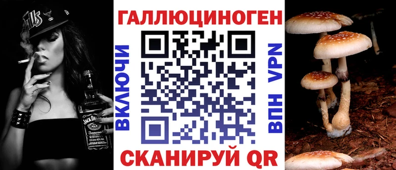 Галлюциногенные грибы Psilocybe  Купить  Сретенск 