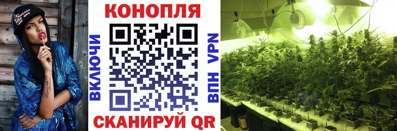 Шишки марихуана THC 21%  Купить  Сретенск 